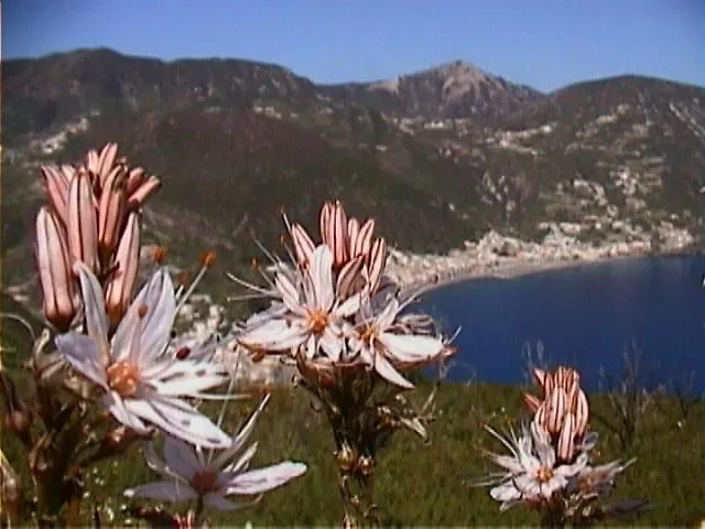 Casa vacanze Casaeolia Blues *